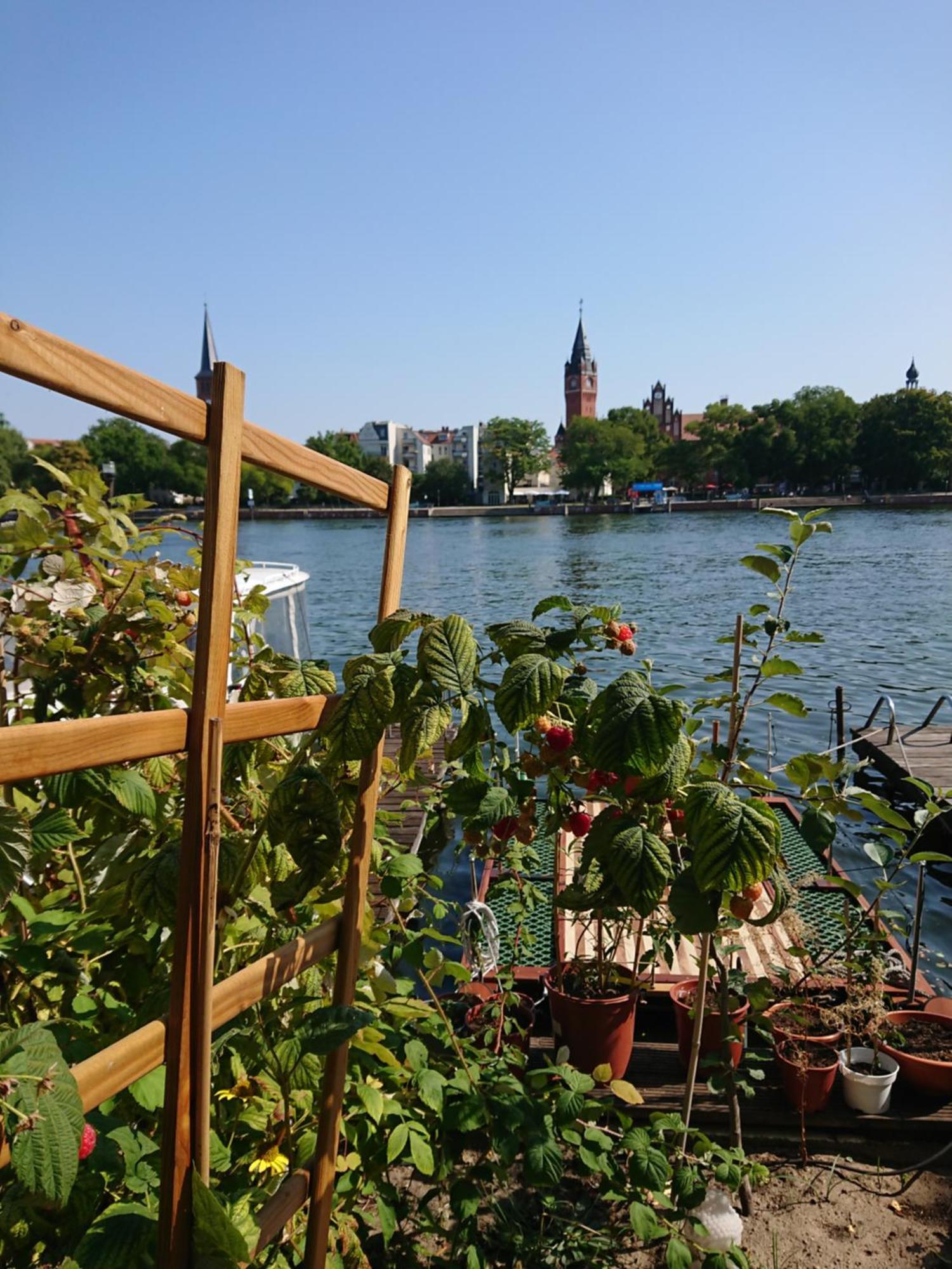 Ferienwohnung Dahme ganz Wohnung oder 2 private Zimmer Berlin Exterior foto